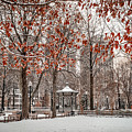 Rittenhouse Snowscape